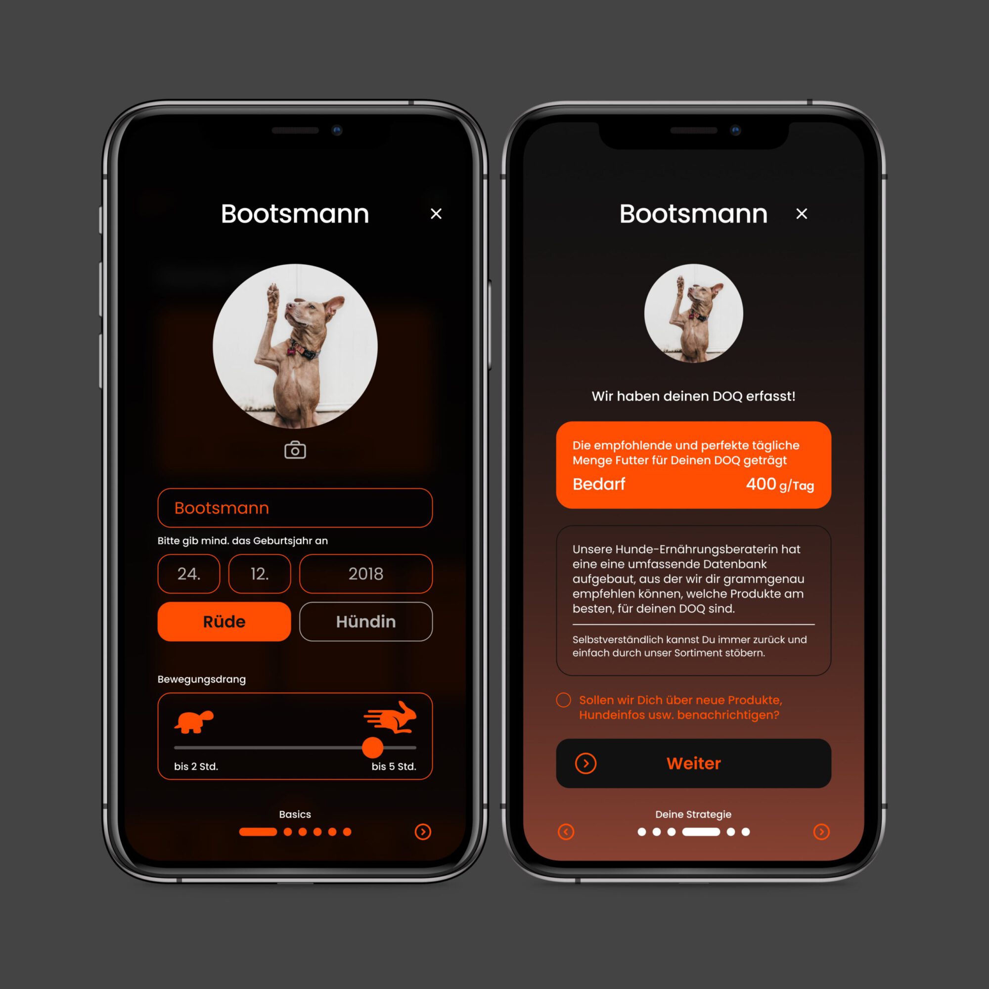 doq-iphone-2a-web